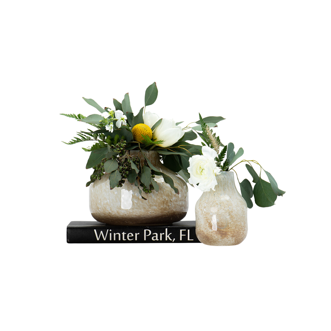 V Barbat XS Lynx Vase