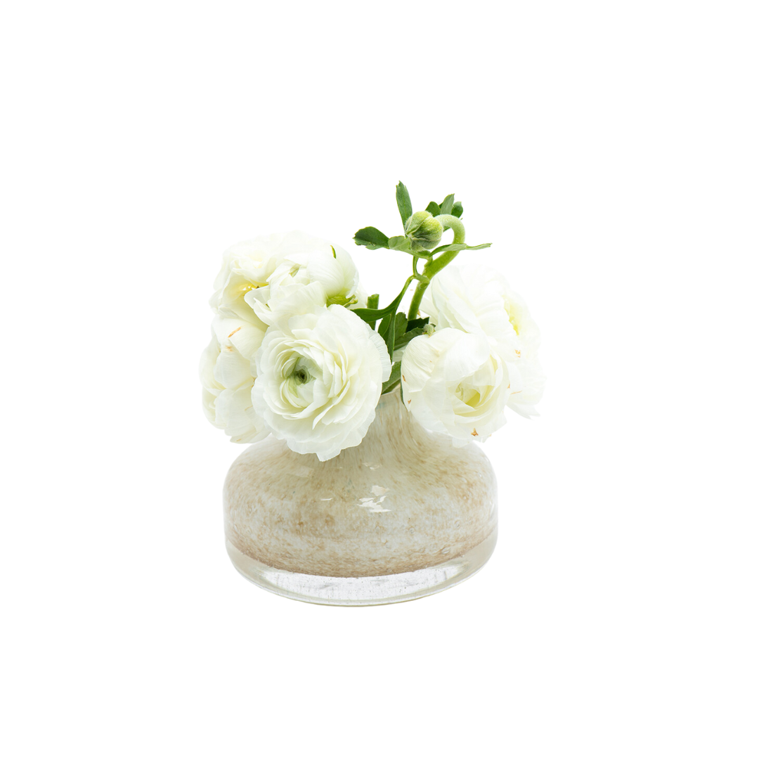 V Femeia XS Lynx Vase