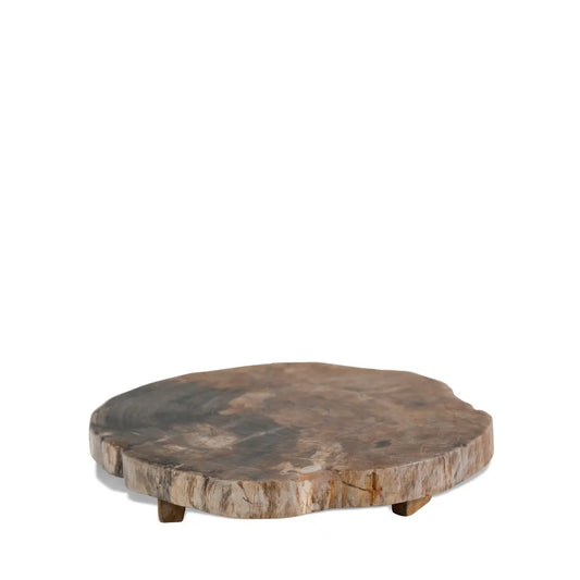 Petrified Wood Trivet with Polished Edge