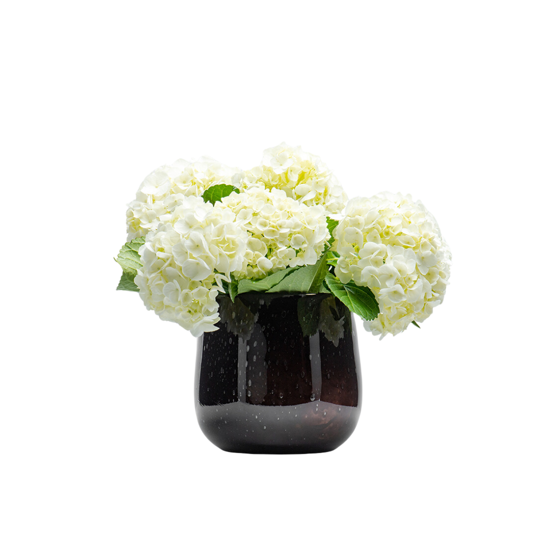 V Clovis S Brunette Vase