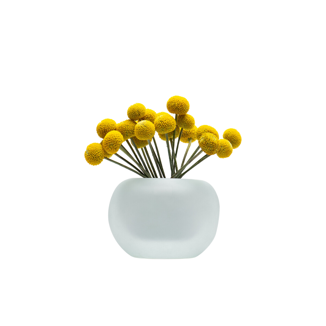 V Uluru S Matte Vase
