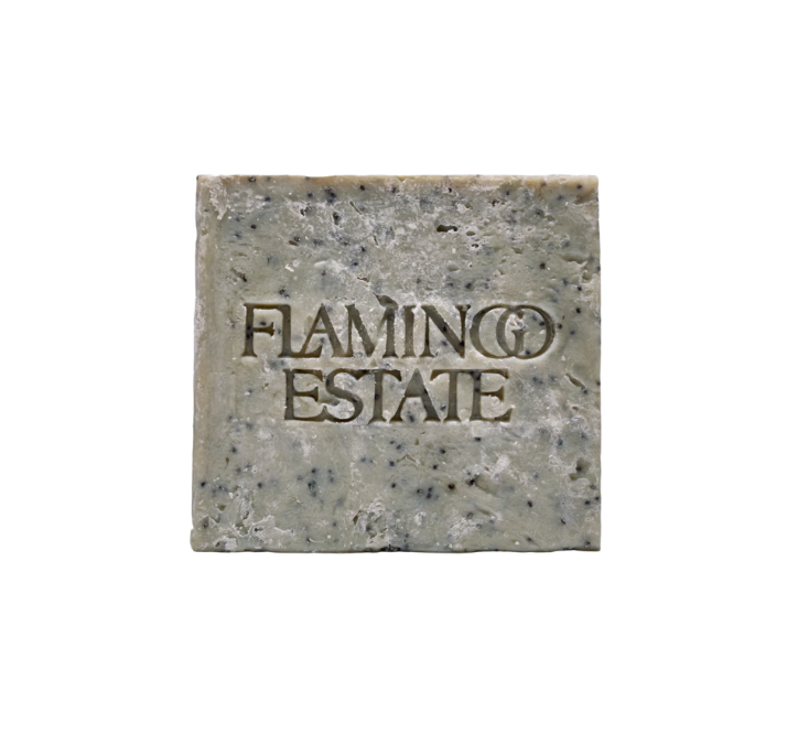 Exfoliating Peppermint Soap Brick