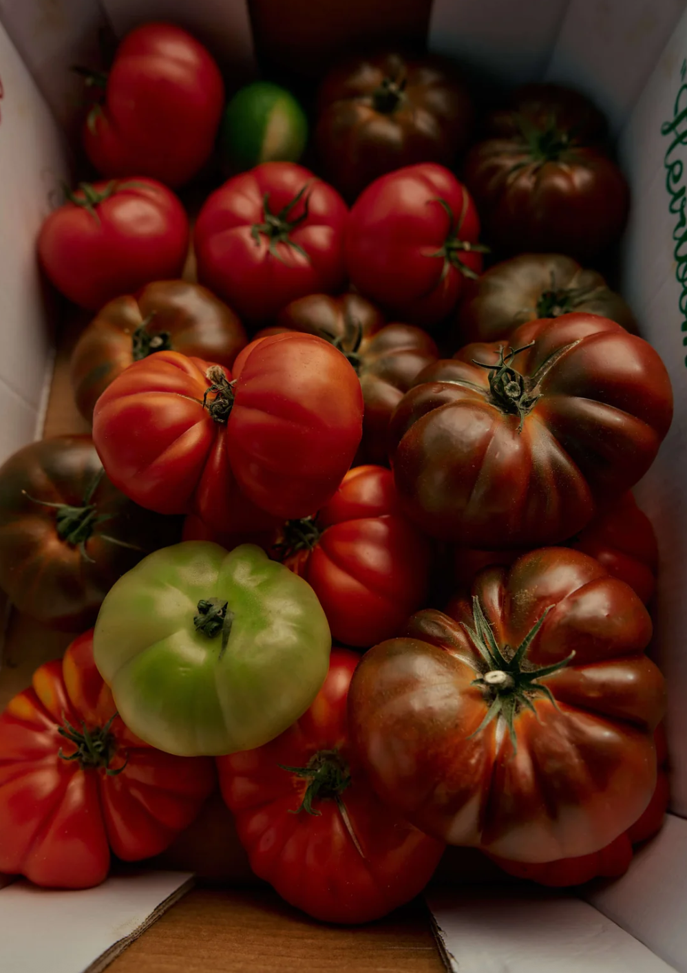 Heirloom Tomato Candle