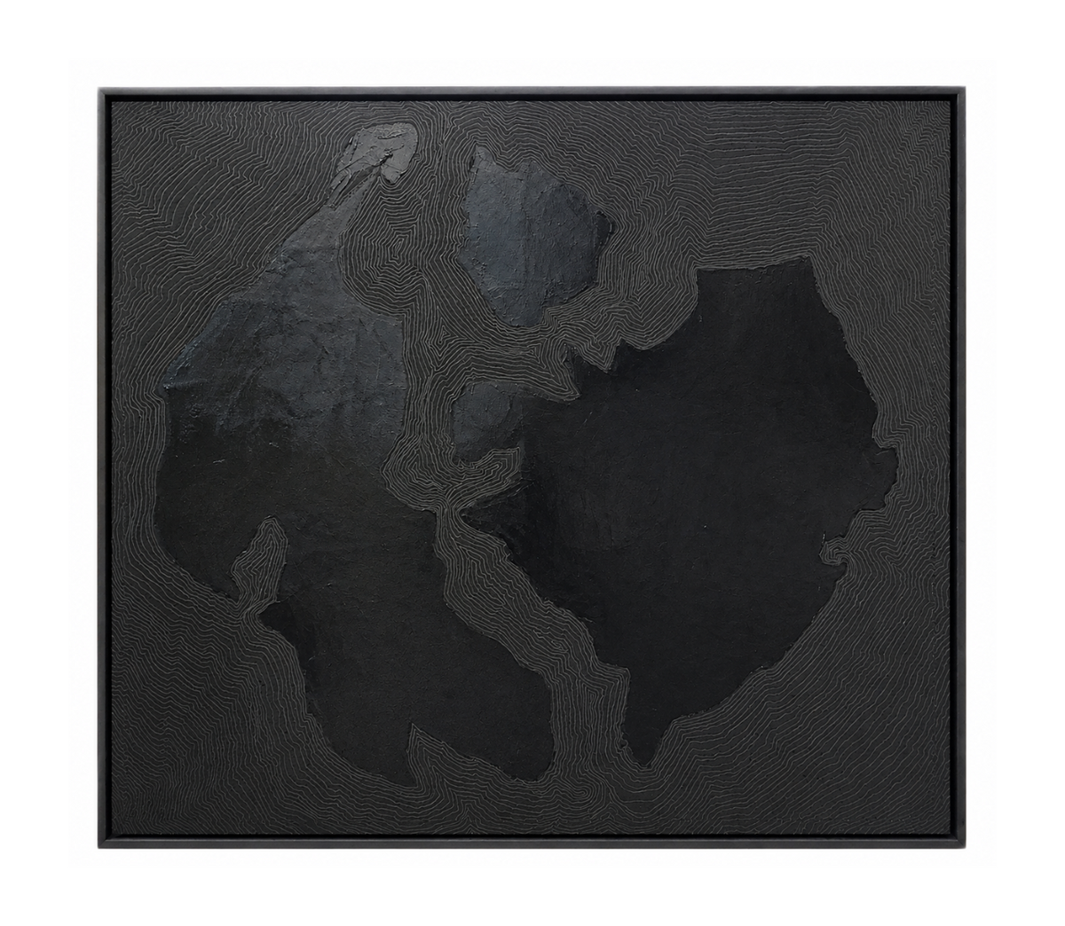 Pangaea Evolving