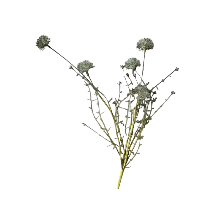 Melaleuca Dusk Stem